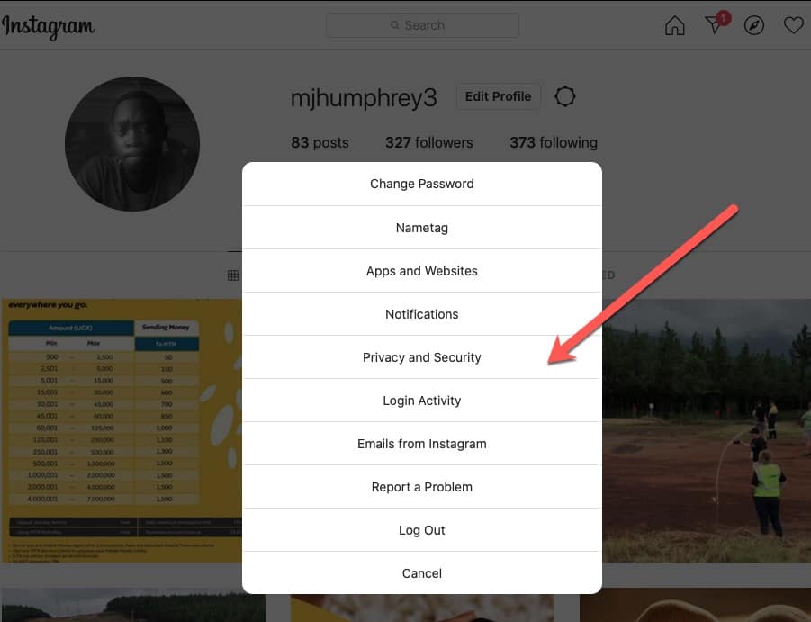 Instagram Privacy and Security Options