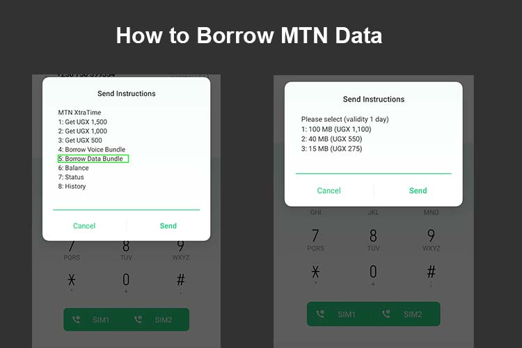 how to borrow mtn data